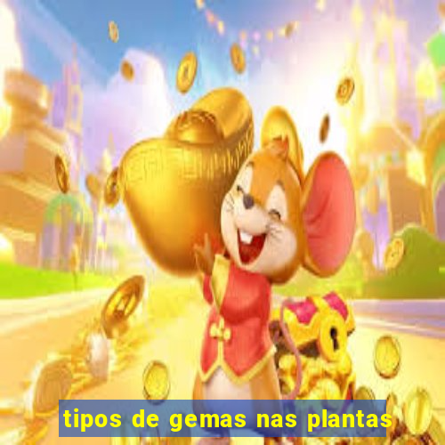 tipos de gemas nas plantas